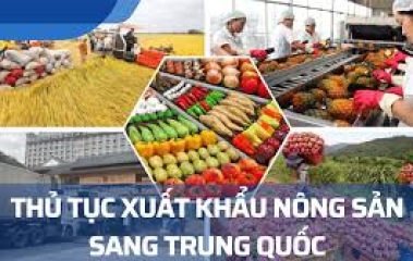 Xuất khẩu nông sản sang thị trường Trung Quốc